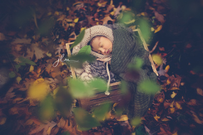 this is an image from an outdoor newborn photography session of a baby under a tree