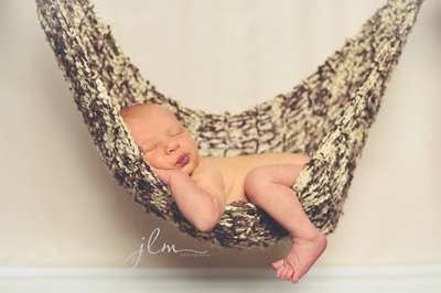 this is a picture of a newborn in a hammock in a studio on long island new york 