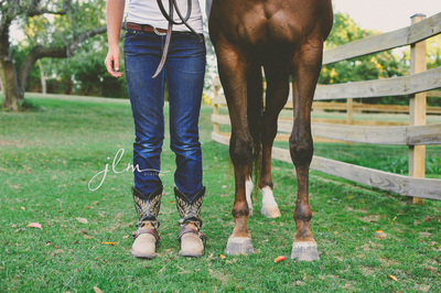 long island equestrian horses photoshoot 