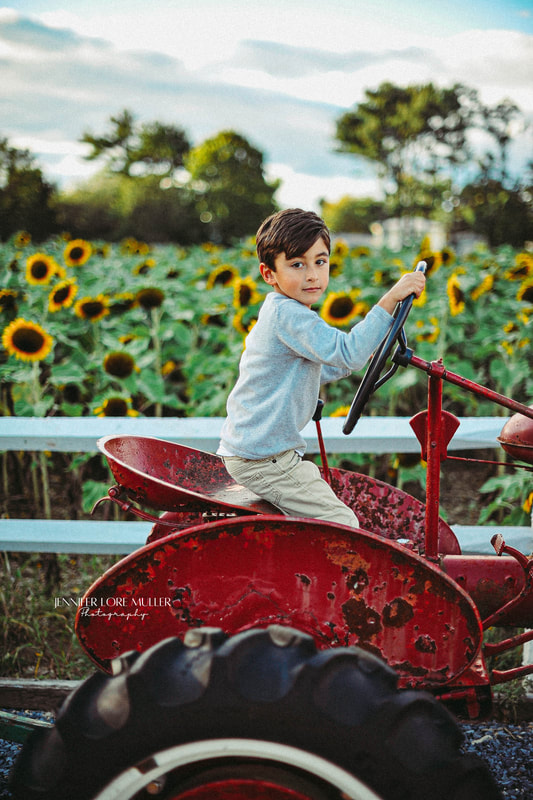 fall mini session long island sunflower farm boy on a tractor 